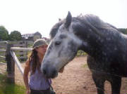 danihorse.jpg